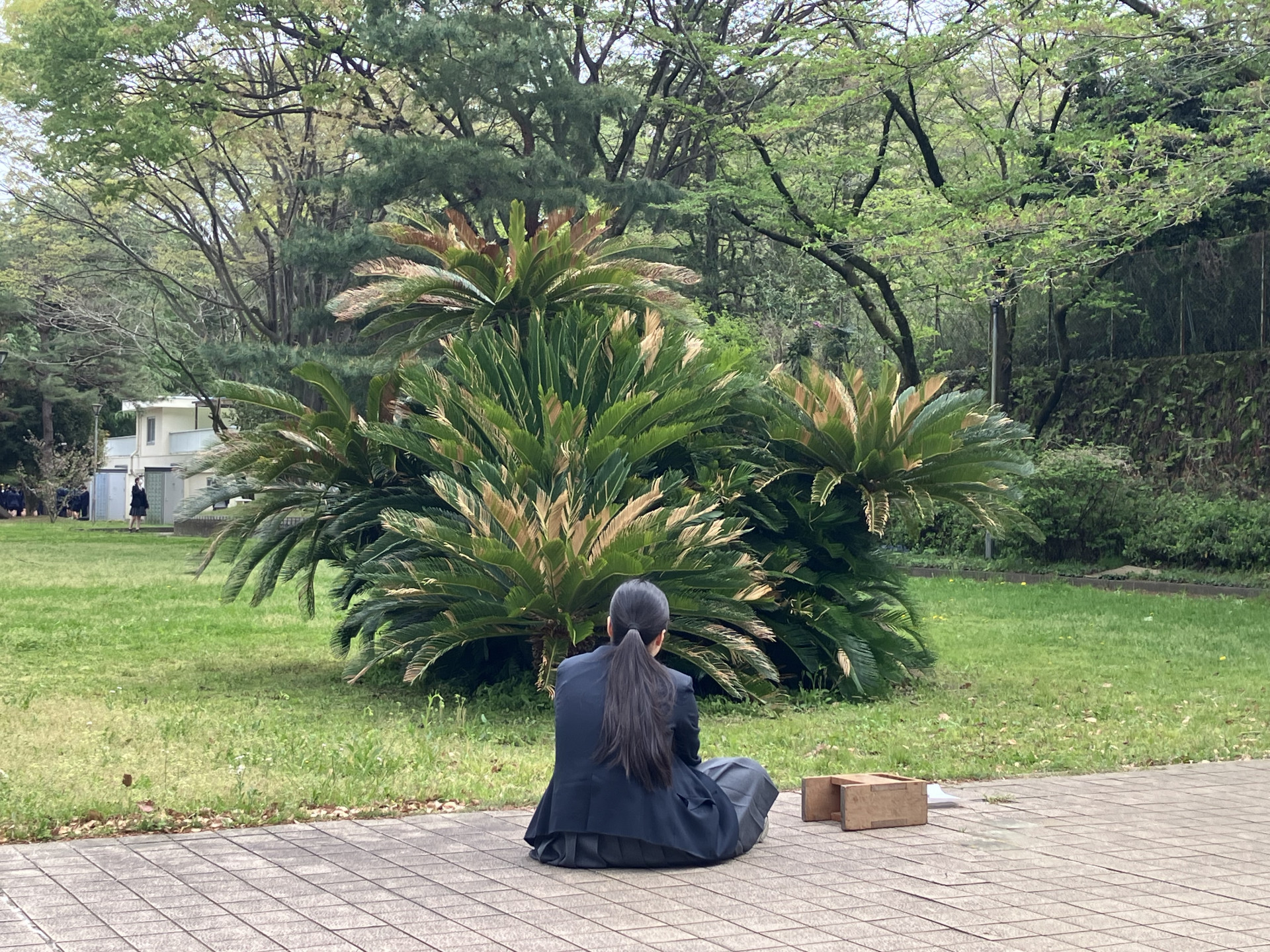 Image - 2026-04-13T165726.045